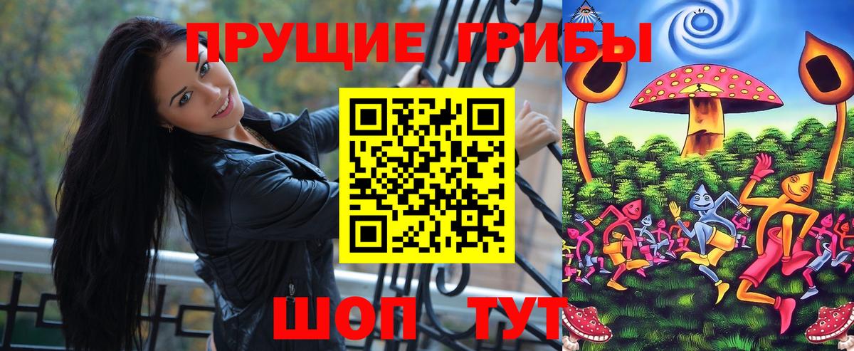 Щёлково  Галлюциногенные грибы прущие грибы  Вход с VPN 