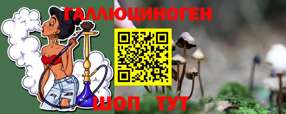 Псилоцибиновые грибы GOLDEN TEACHER Щёлково